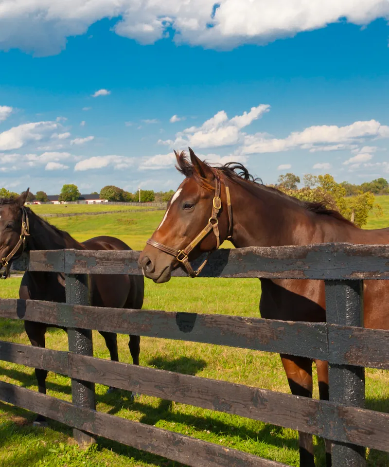 Equestrian / Acreage Communities